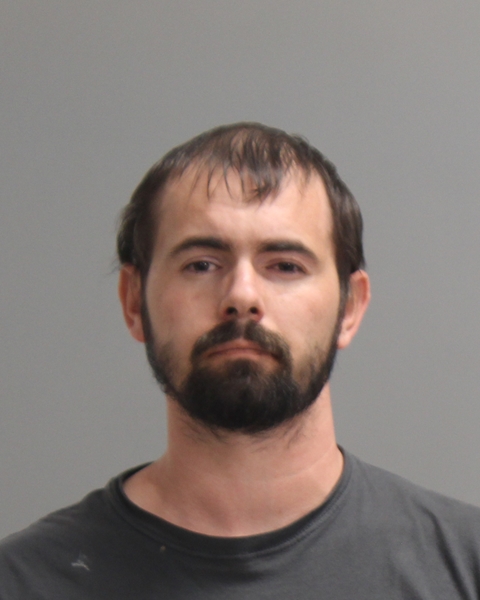 GROVES, DAVID RICHARD booking photo