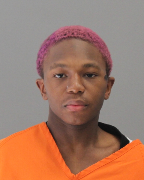 LEWIS, GIOVANNI METTEO booking photo