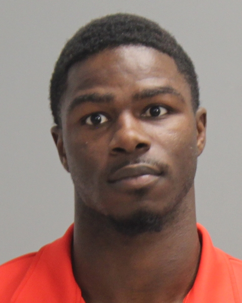 HENDERSON, PIMPTEREUS LEONTEY booking photo