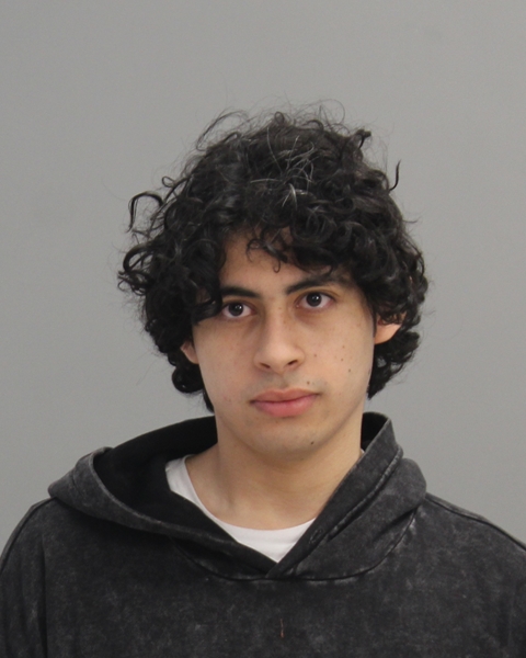 TORRES, JOSE MIGUEL ZEA booking photo