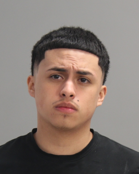 MENA, ALEXIS ANTONIO booking photo