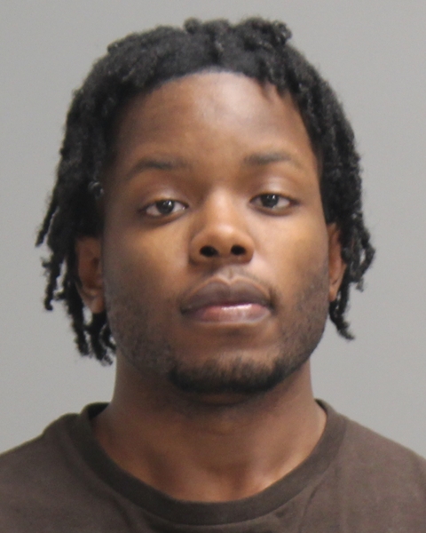 ADEMOLA, AKOREDE TANTOLUWA booking photo