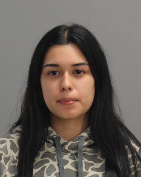 SANCHEZ, JULIANNA JOLIE booking photo