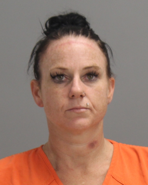 ARMSTRONG, BRENDA LEE booking photo