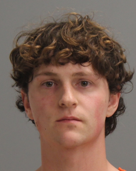 BURTON, ROCKLIN ELGIN booking photo