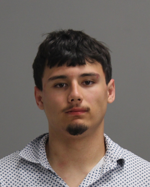 TEAGUE, IAN booking photo