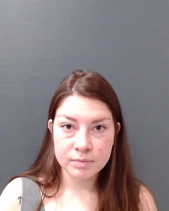 FAGEN, MICHELLE NICOLE booking photo