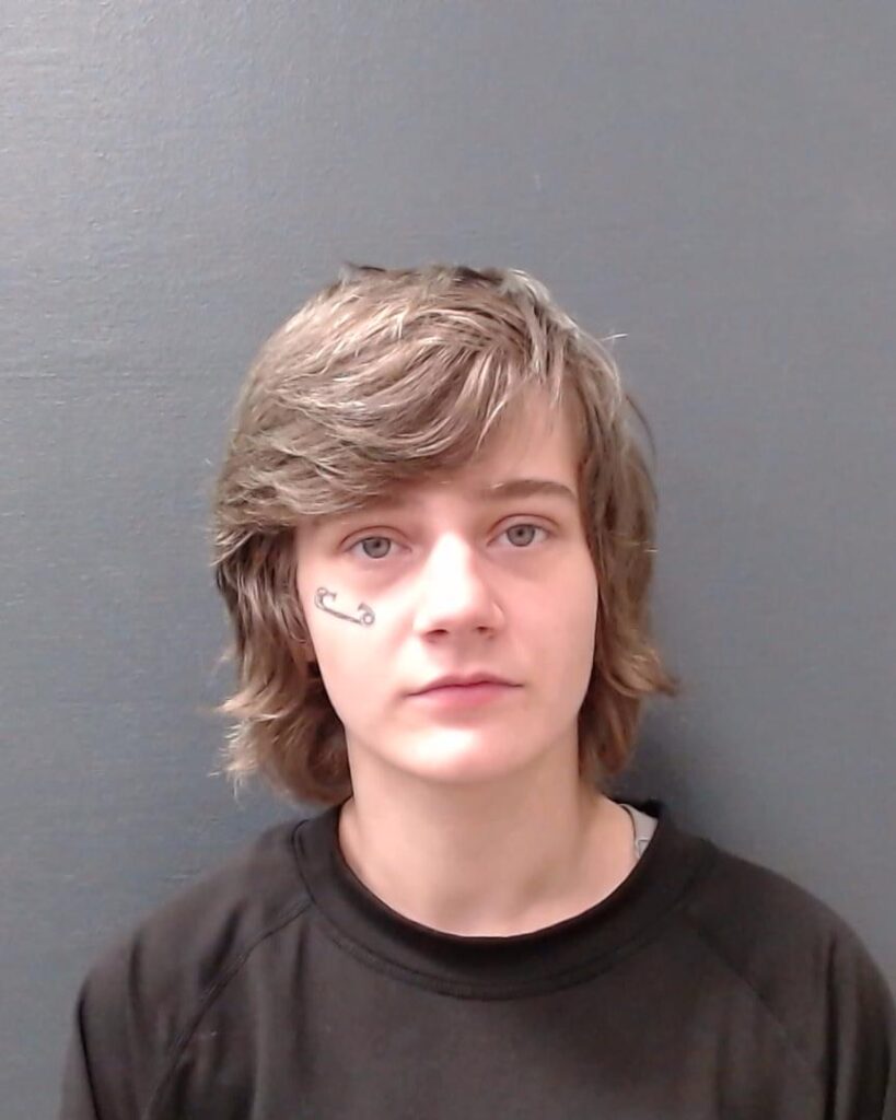 SOUTHARD, MORNINGSTAR arrest record in Comal County, Texas SOUTHARD, MORNINGSTAR arrested in Comal County, Texas mugshot