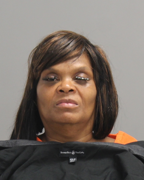 TENNER, TRAVECE booking photo