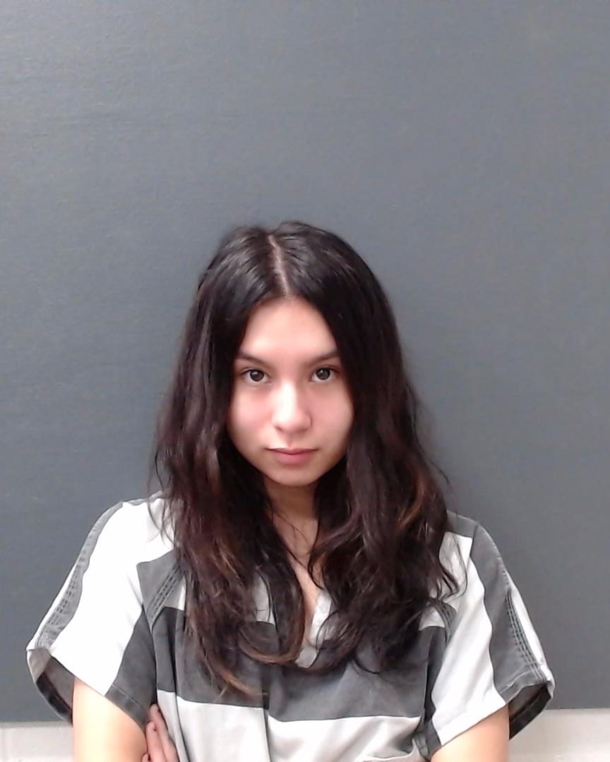 DELGADO, KAYLEEN DENISE booking photo