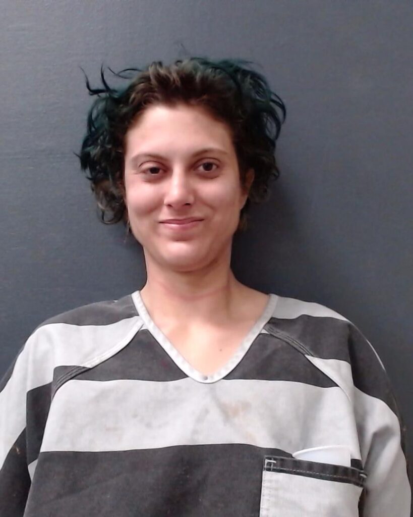 PILLOFF, MICHELLE arrest record in Comal County, Texas PILLOFF, MICHELLE arrested in Comal County, Texas mugshot