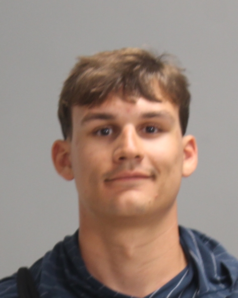 HORVAT, GEORGE VALENTIN booking photo