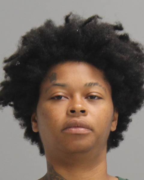 SHERMAN, BRITTANY booking photo