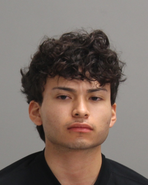 VELES, ALDO booking photo