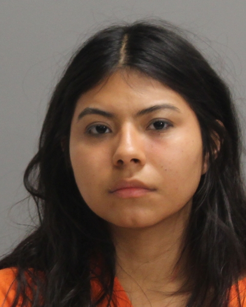 GRANADOS, ALEXXA ANN booking photo