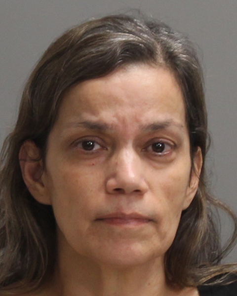 JOHNSON, RACHEL BENAVIDES booking photo