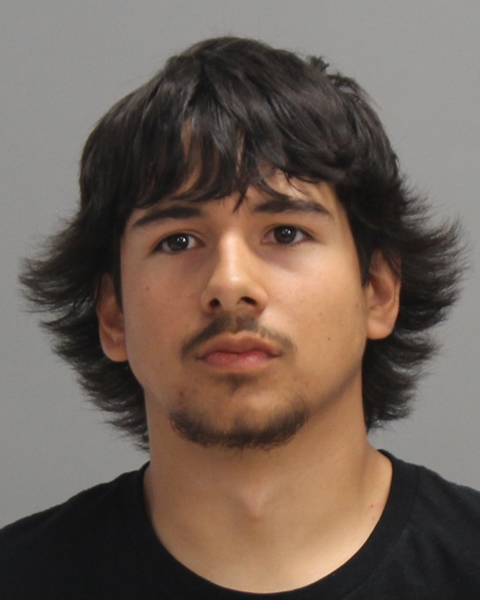 GONZALES, LOGAN RIO booking photo
