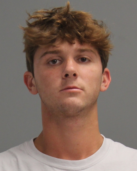 KAUFMANN, VIKTOR VON booking photo