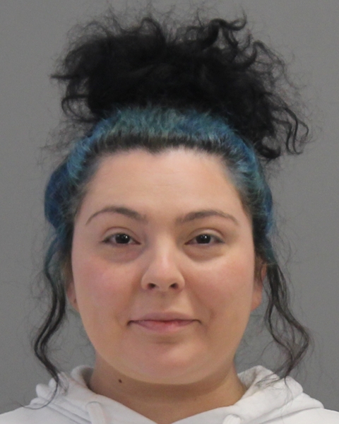 ORTIZ, RICHELL ANN booking photo