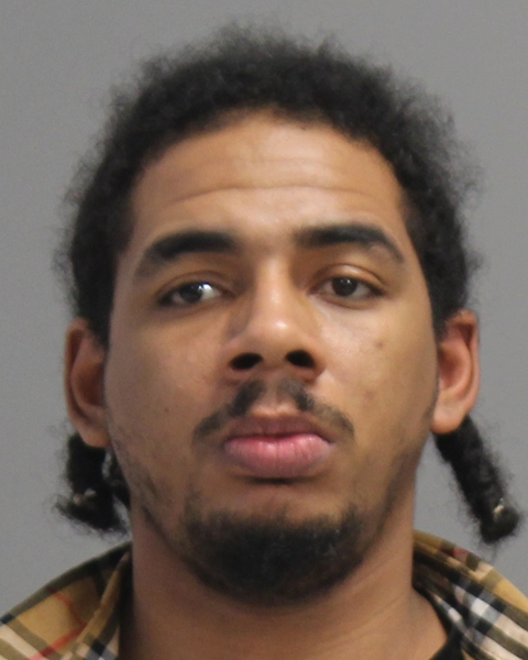 BRINKLEY, RAVEN DE ANGELO booking photo