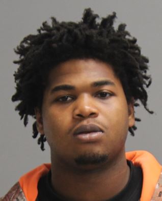 JOHNSON, PATRICK DOMONIQUE booking photo