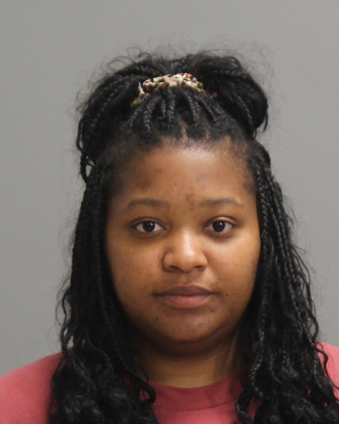 SMITH, VIRGINIA NICOLE booking photo