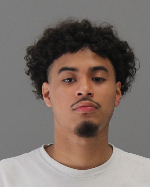 Hernandez Silva, Brandon booking photo