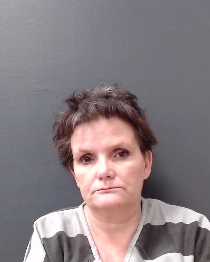 HENDRY, DANA LYNN booking photo
