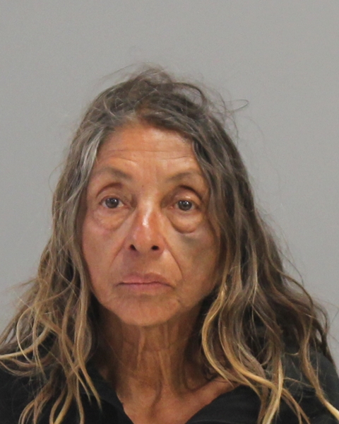 GARZA, DALIA booking photo