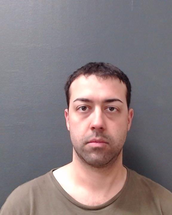 STEIN, JOHN HALSTON BEAUREGARD booking photo