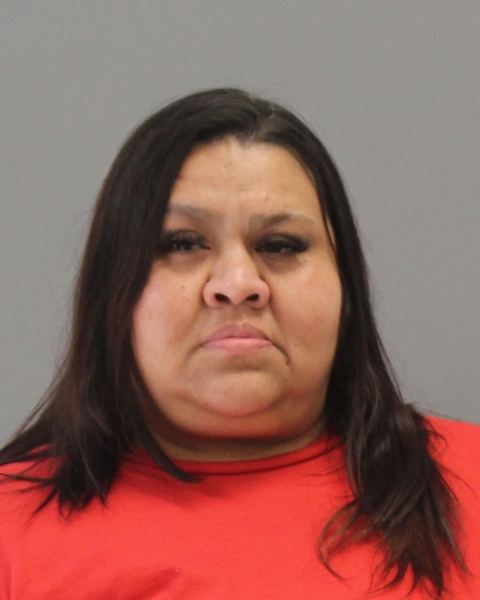 ARENAS, AMY MICHELLE booking photo