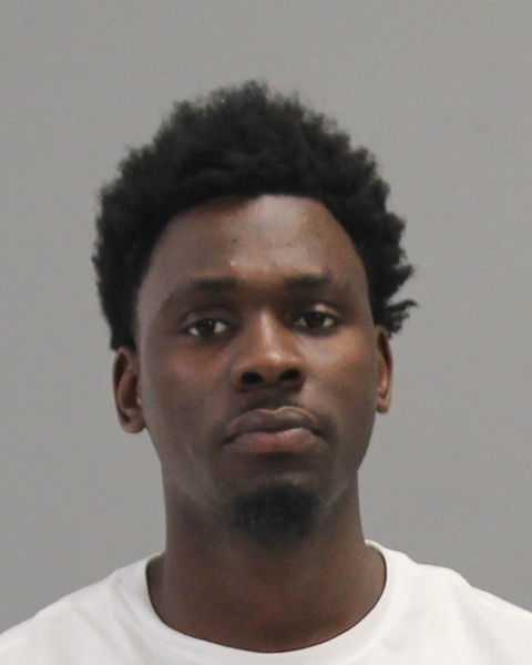 IBRAHIM, ALI MOHAMED booking photo