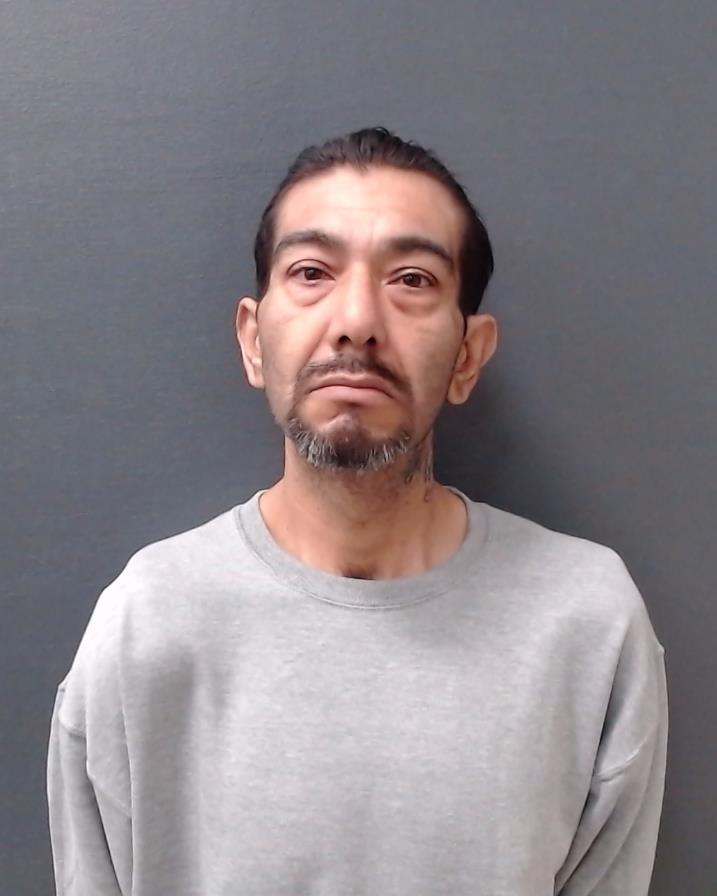 CALVILLO, MARIO CASTRO booking photo