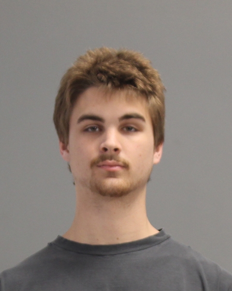 TAYLOR, ROSS HENRY booking photo