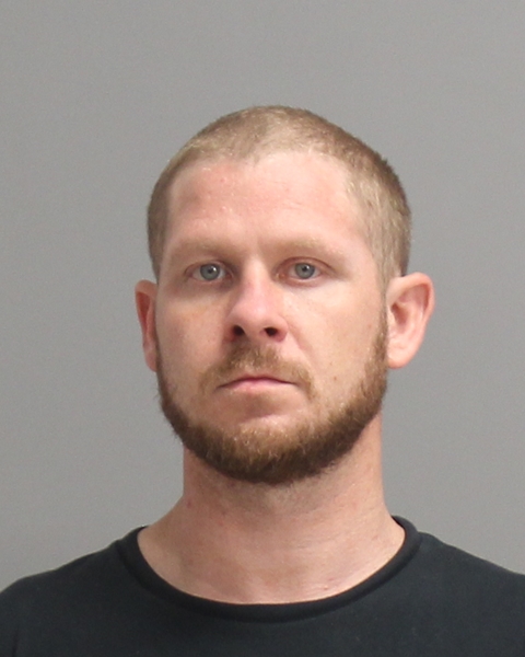 HAYNIE, BRANDON DUSTIN booking photo