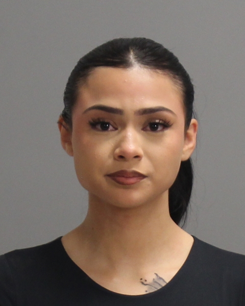 REYES LEDET, MARISOL LIZ booking photo