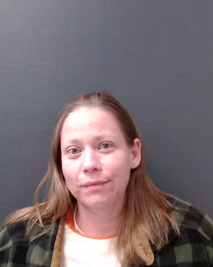 NEWELL, MEGAN LYNN booking photo