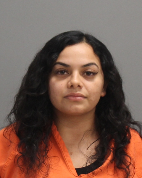 HERNANDEZ, MARISSA DEANN booking photo