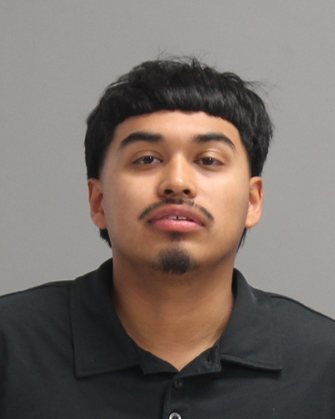 GALVAN, YONNI booking photo
