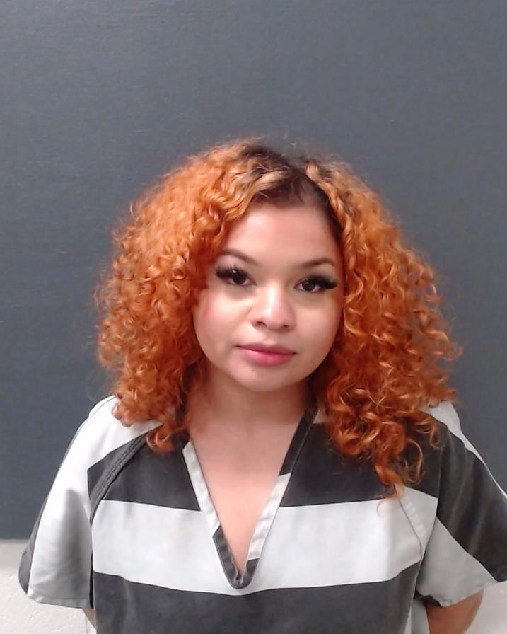 LLEWELLYN, DAYZHA BERLIN booking photo