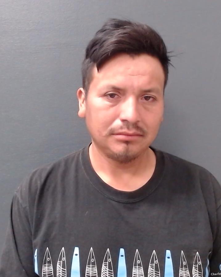 ALVARADO-OCHOA, MILTON GIOVANNI booking photo