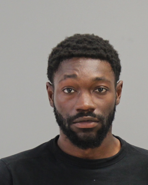 BRADFORD, RAY ELTON, III booking photo