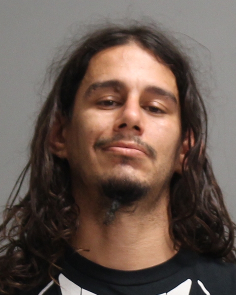 BERBER, DAVID LEE booking photo