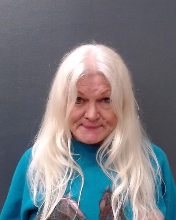 FRIESENHAHN, MELINDA LUCILLE booking photo