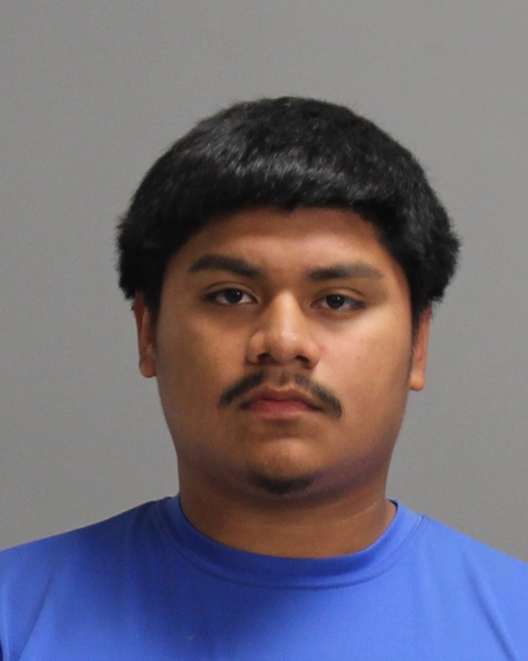 COLMENARES, ALAN MICHAHEL booking photo