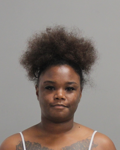 PERRY, CYNTHIA RENEE booking photo