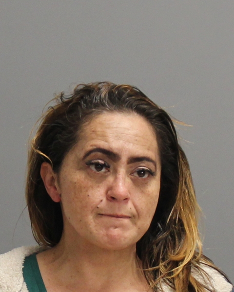 ACARTO, VERONICA ELAINE booking photo