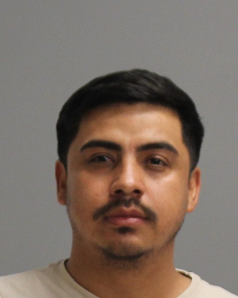 SANCHEZ ARANDA, LUIS MARTIN booking photo