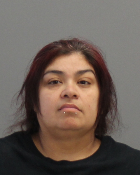 BENITEZ, JESSICA ANN booking photo