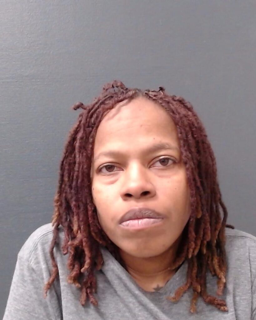 ISMAIL, LATONYA SIREN arrested in Comal County, Texas mugshot